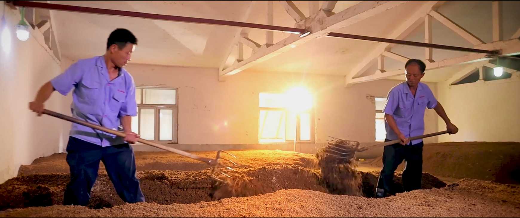 6440eae0c3b36.png 18cf78008da56215c1bbc35623a7d69.png